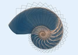 Afbeelding voor Fibonacci-reeks: geschiedenis, concept en formules