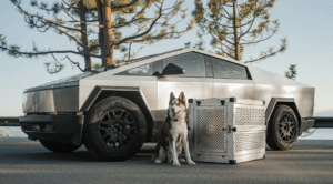 Afbeelding voor Tesla Optimus